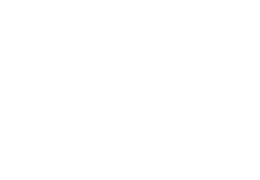 Logo of Leesfield & Partners