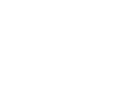 Leesfield Shapiro